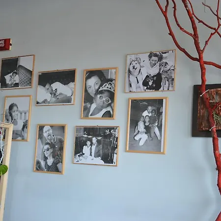 Отель Corallo Римини