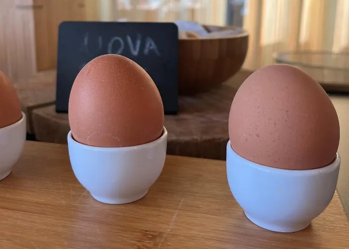 里米尼科拉洛酒店