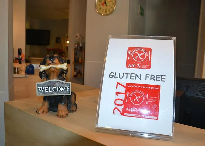 酒店 里米尼科拉洛酒店 3*