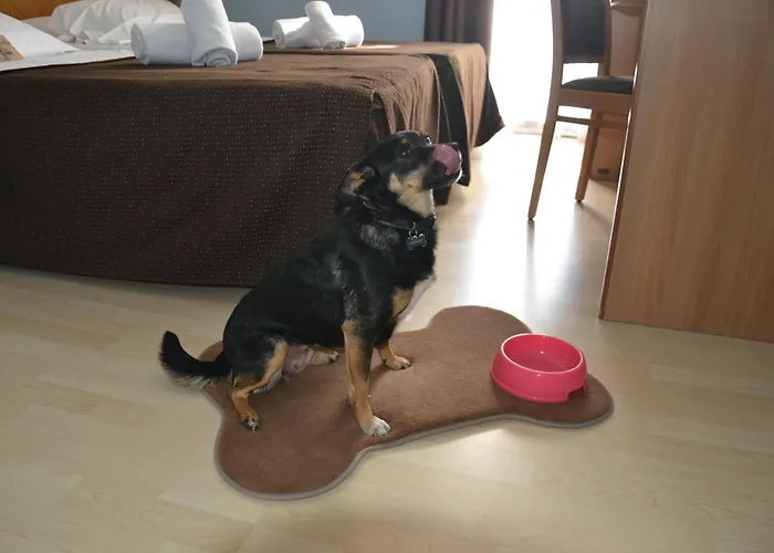 酒店 里米尼科拉洛酒店 里米尼