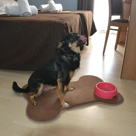 Hotel Corallo Rimini